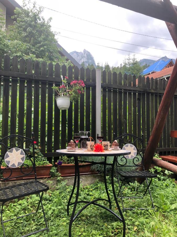 Family House Villa Buşteni Екстериор снимка