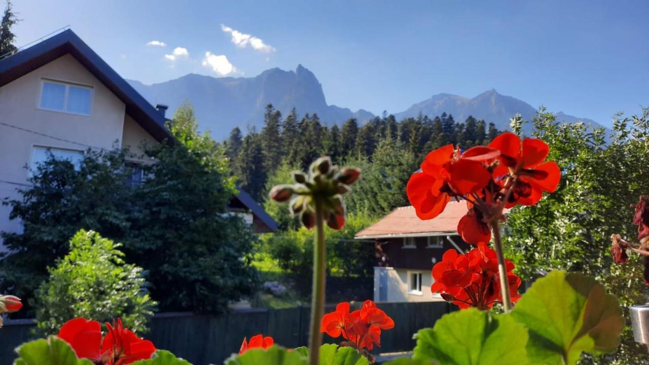 Family House Villa Buşteni Екстериор снимка