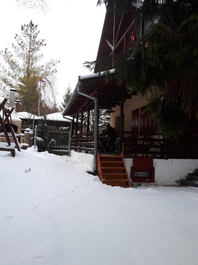 Family House Villa Buşteni Екстериор снимка