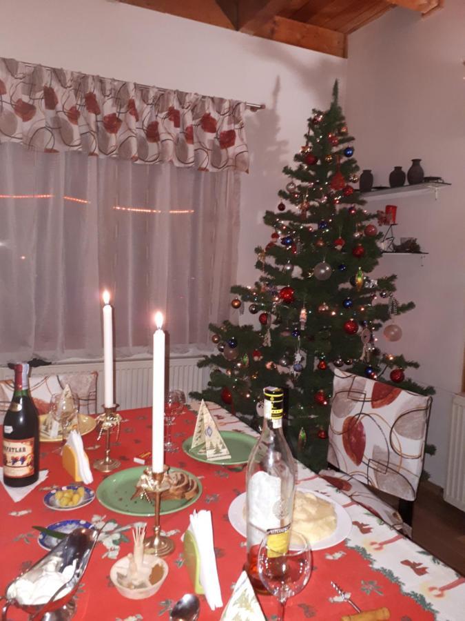 Family House Villa Buşteni Екстериор снимка