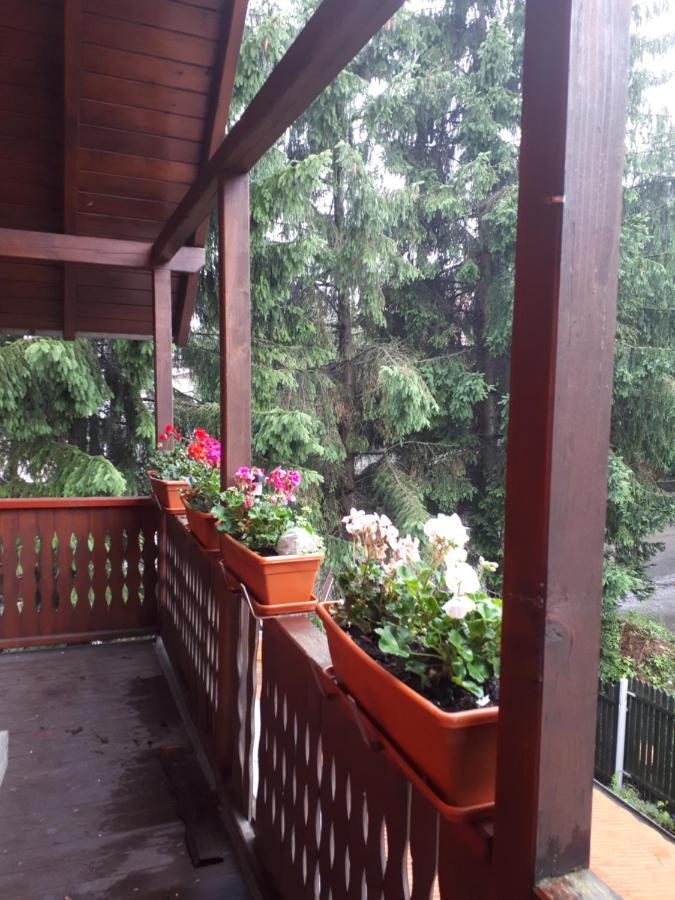 Family House Villa Buşteni Екстериор снимка