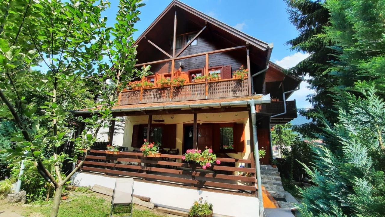 Family House Villa Buşteni Екстериор снимка