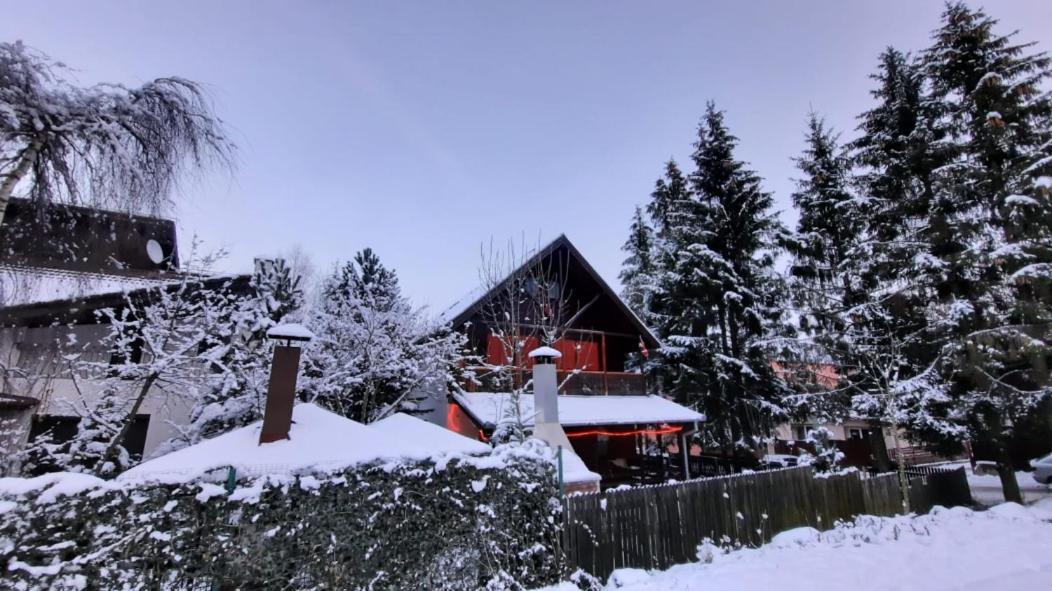 Family House Villa Buşteni Екстериор снимка