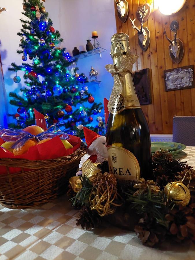 Family House Villa Buşteni Екстериор снимка