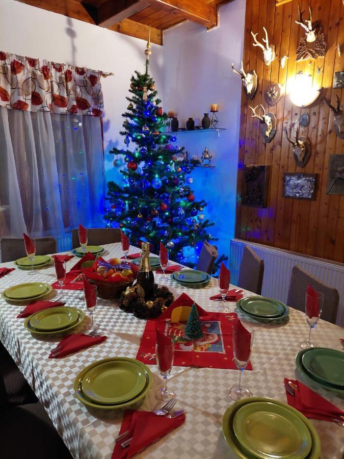 Family House Villa Buşteni Екстериор снимка
