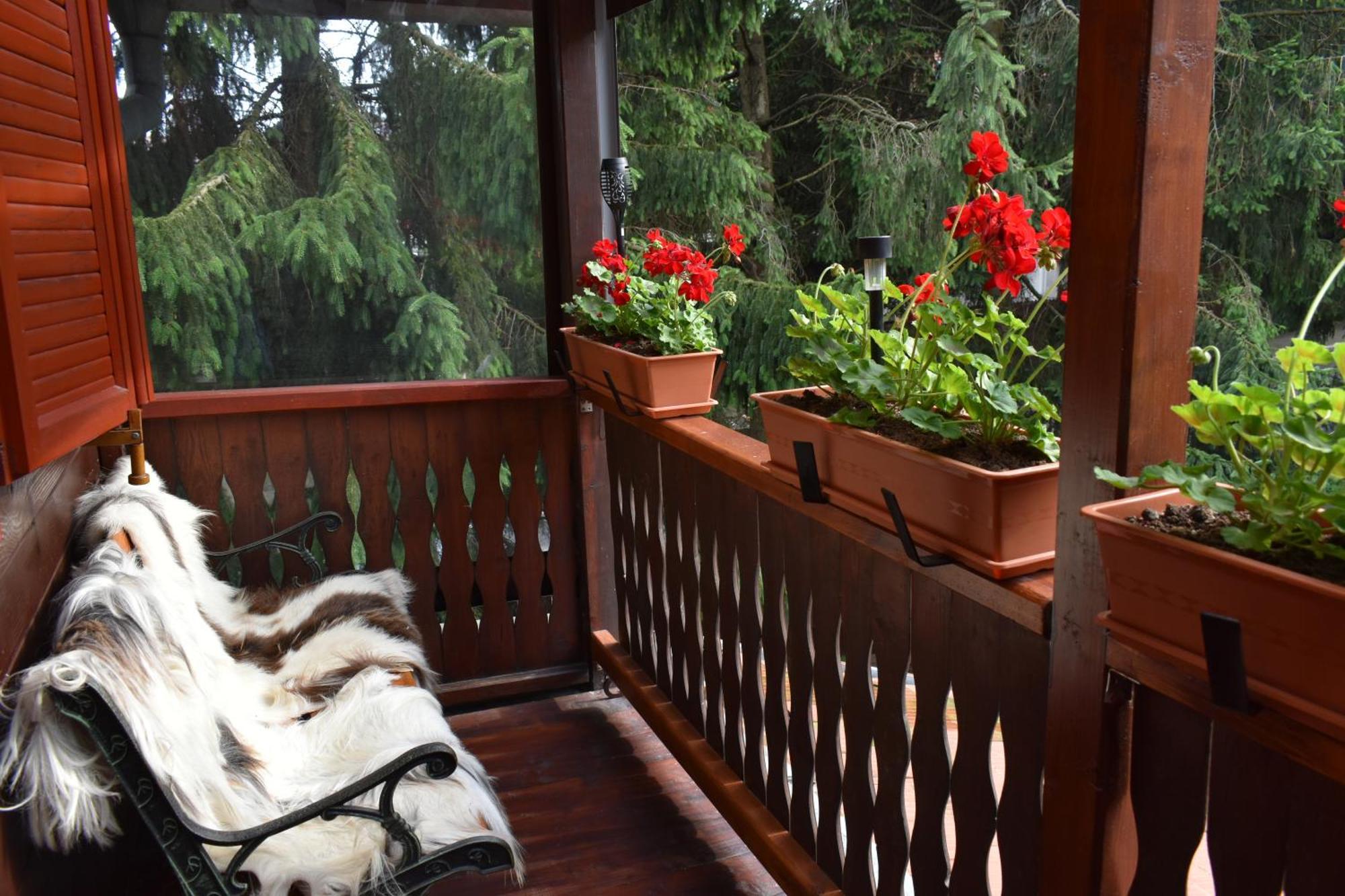 Family House Villa Buşteni Екстериор снимка